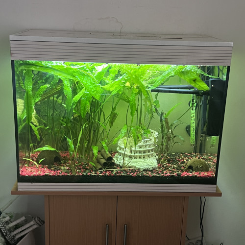 Aquarium askoll complet