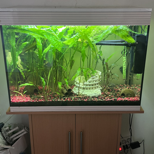 Aquarium askoll complet