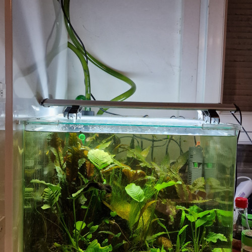 Aquarium cube 90l equipé