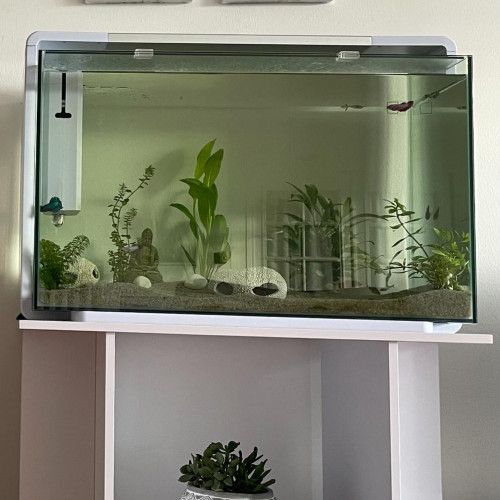 Aquarium superfish 110 avec meuble