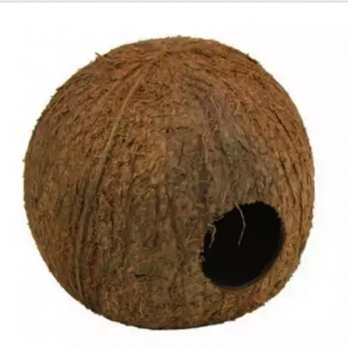 2 grottes en noix de coco