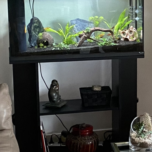 Aquarium tout équipé Aquatlantis 96L + Biobox + meuble / parfait état