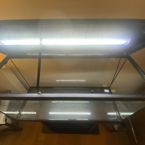 Aquarium tout équipé Aquatlantis 96L + Biobox + meuble / parfait état