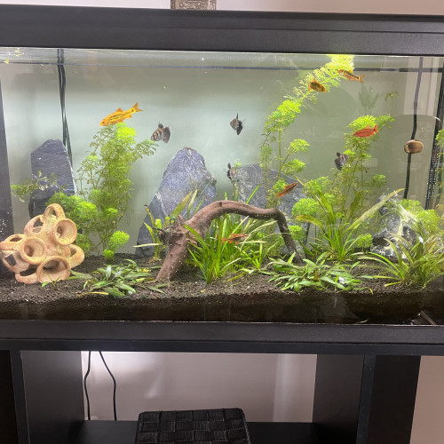 Aquarium tout équipé Aquatlantis 96L + Biobox + meuble / parfait état