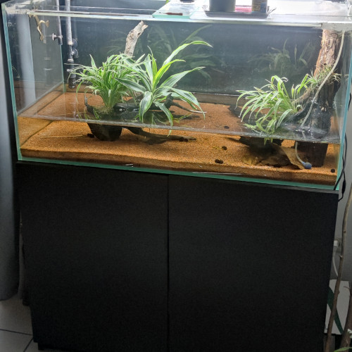 Aquarium plus meuble