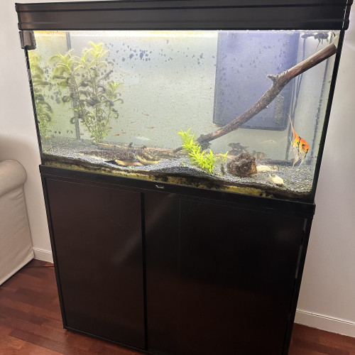 Aquarium AQUATLATIS ET MEUBLE 220 l