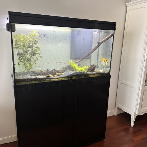 Aquarium AQUATLATIS ET MEUBLE 220 l