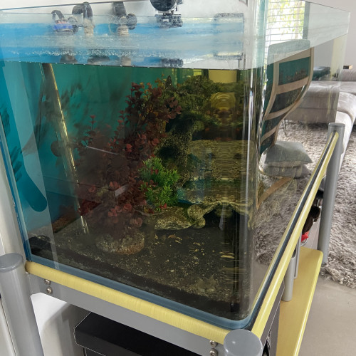 Aquarium complet 220 l