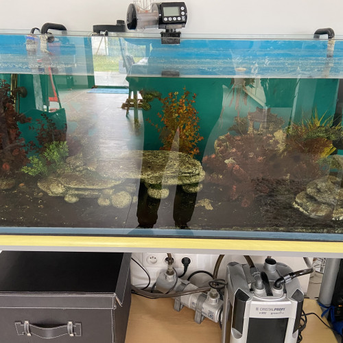 Aquarium complet 220 l