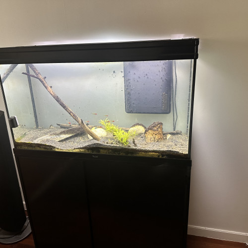 Aquarium AQUATLATIS ET MEUBLE 220 l