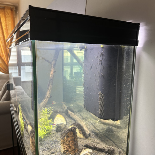 Aquarium AQUATLATIS ET MEUBLE 220 l