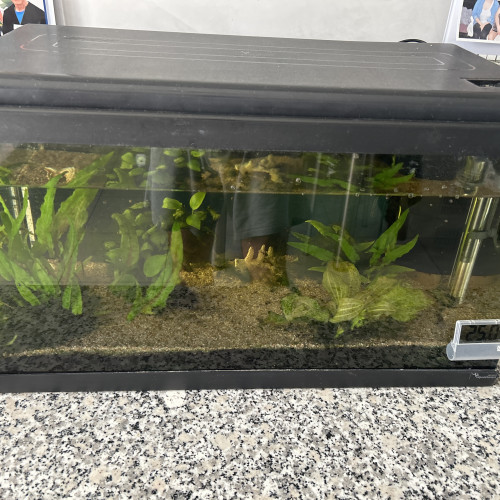 Donne aquarium avec poisons et matériel
