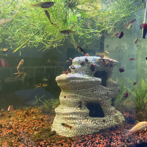 Aquarium
