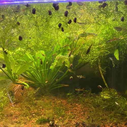 Aquarium