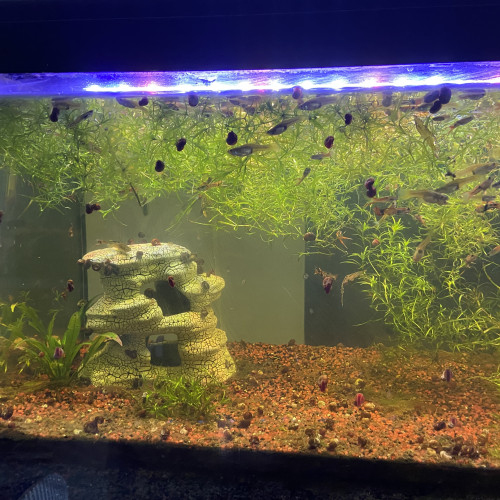 Aquarium