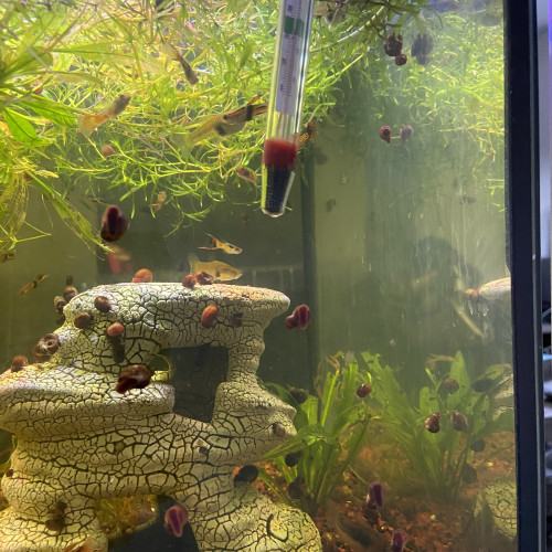 Aquarium