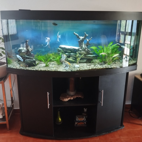 Donne aquarium complet 450 l