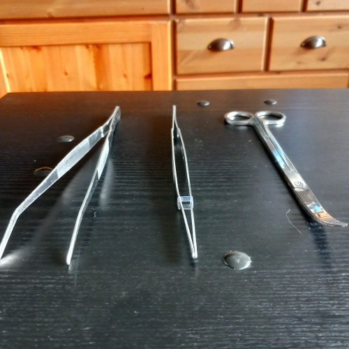 Pinces et ciseaux