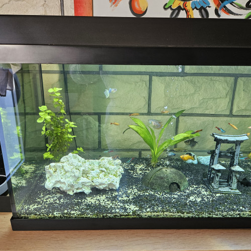 Aquarium