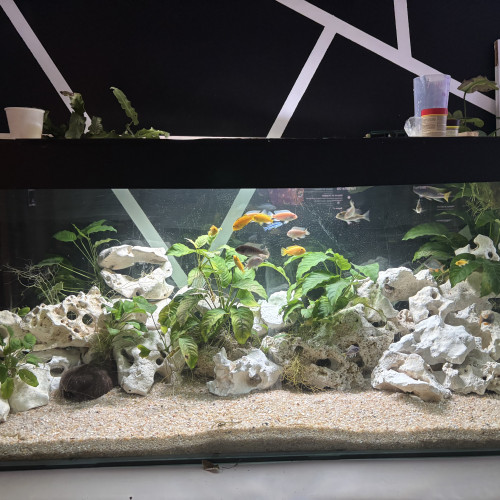 Aquarium 400 L