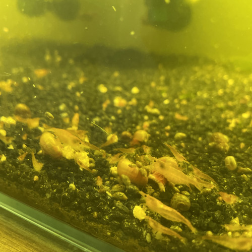 Aquarium