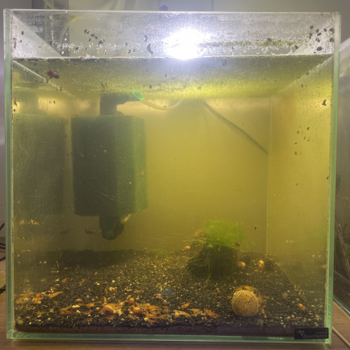 Aquarium
