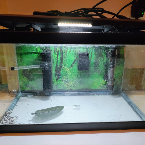 Aquarium avec accessoires et nourriture pour combattant