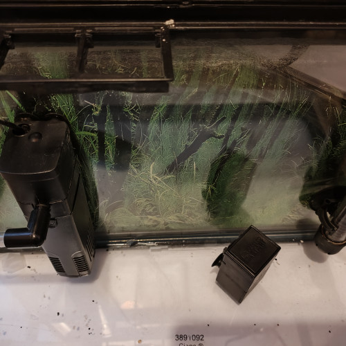 Aquarium avec accessoires et nourriture pour combattant