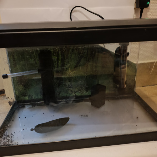 Aquarium avec accessoires et nourriture pour combattant