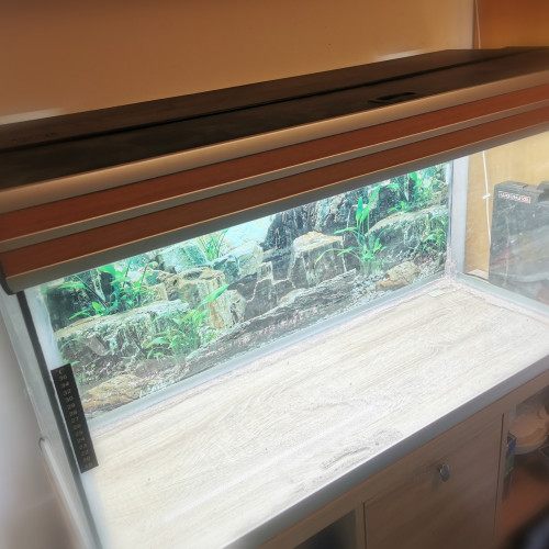 Aquarium environ 200 Litres