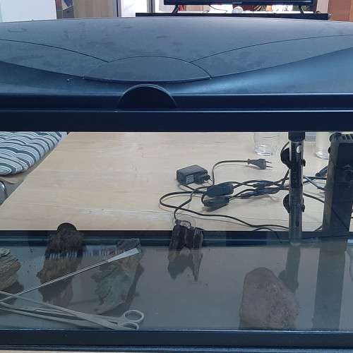 Aquarium 74 litres et équipements