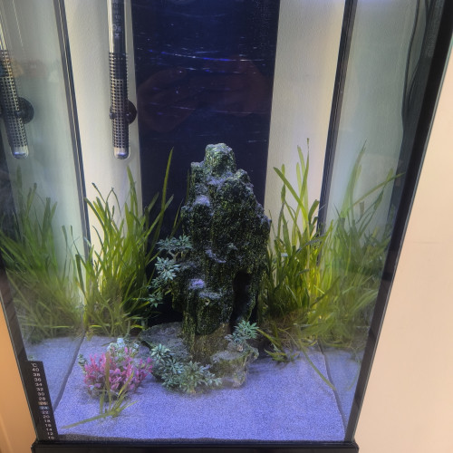 Aquarium aqualantis tower 96L