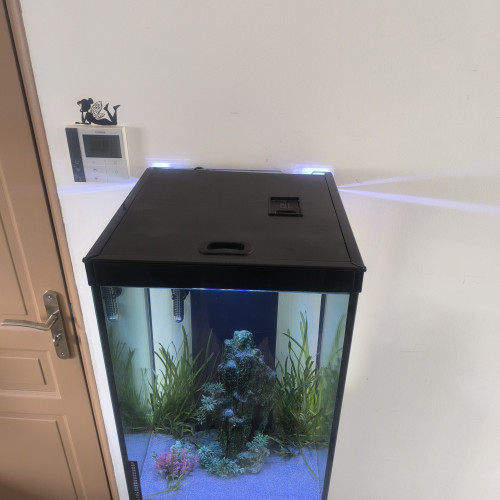 Aquarium aqualantis tower 96L