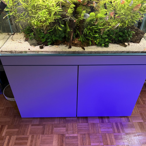 Vend aquarium + meuble + rampe + decors + filtration ... etc