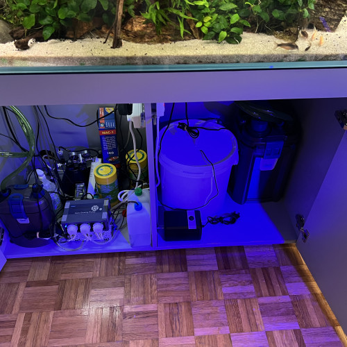 Vend aquarium + meuble + rampe + decors + filtration ... etc