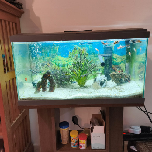 Donne aquarium 48L