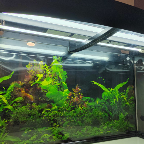 Aquarium 250 litres