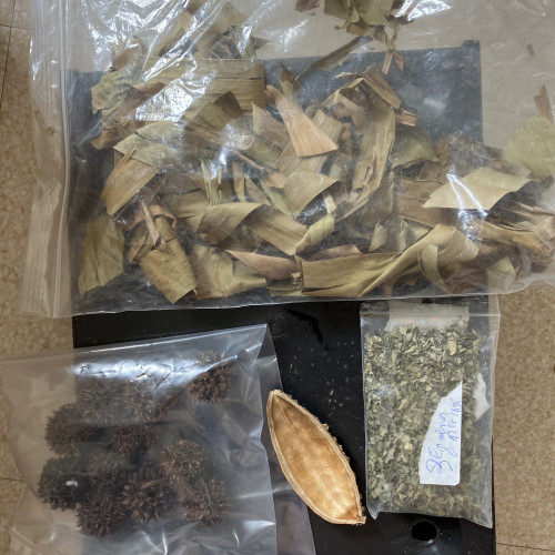 Lot de feuilles naturelles de banane.  Moringa.  Etc
