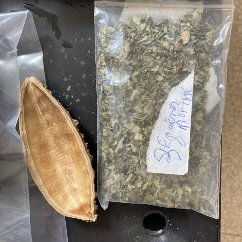 Lot de feuilles naturelles de banane.  Moringa.  Etc