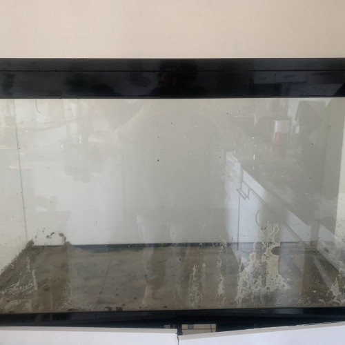 Aquarium Ciano 200 litre