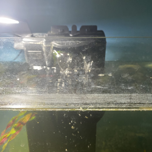Aquarium complet plus poisson