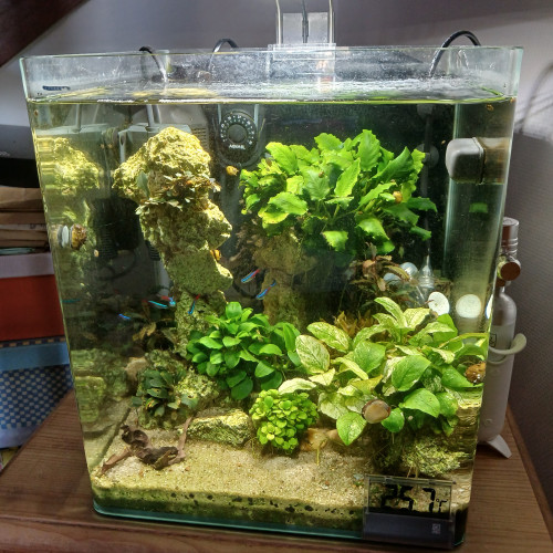 nano aquarium dennerle en fonctionnement à vendre