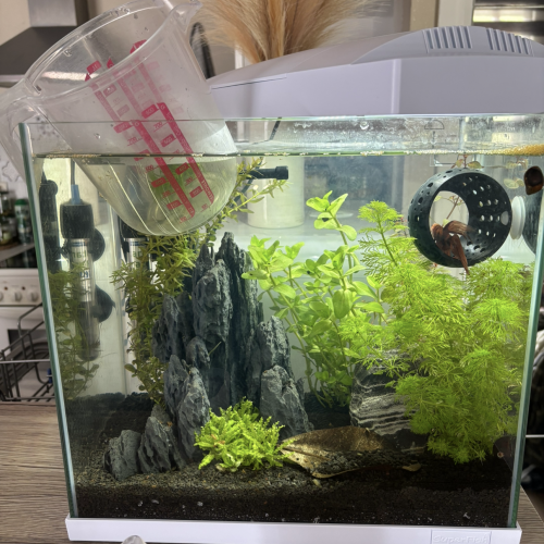 Lot de 2 aquariums avec capot et lumière LED