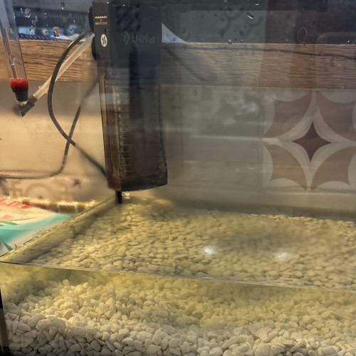 Lot de 2 aquariums avec capot et lumière LED