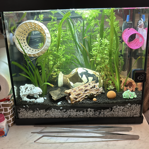 Lot de 2 aquariums avec capot et lumière LED