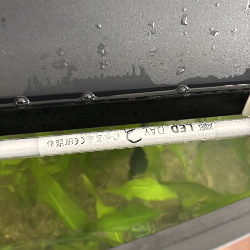 Vente aquarium