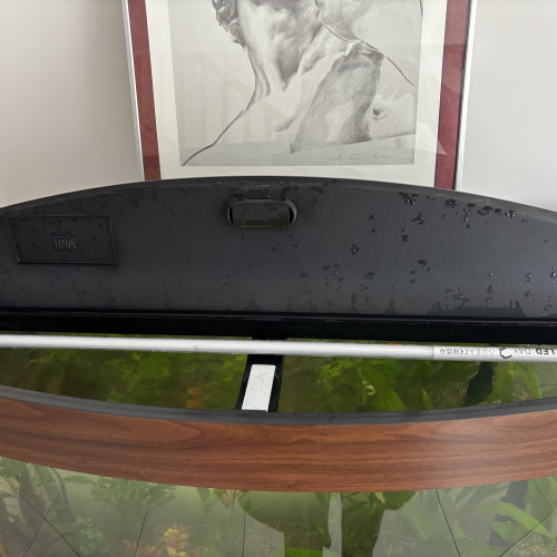 Vente aquarium