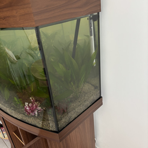 Vente aquarium
