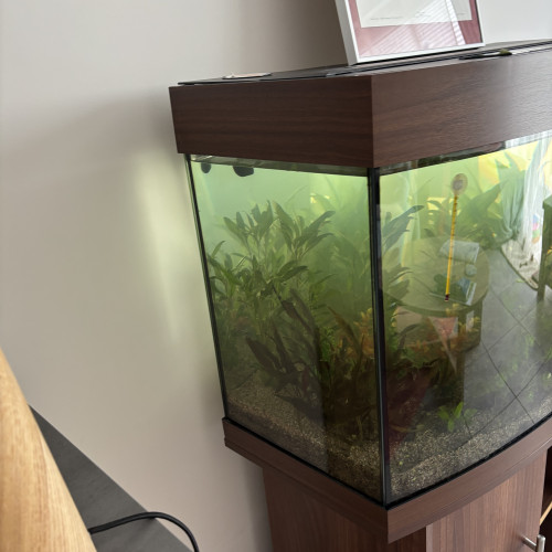 Vente aquarium