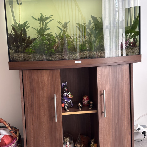 Vente aquarium